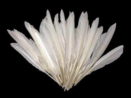 100 Pcs BULK Mallard Duck Wing Feathers 4-5 Natural Duck Loose Wholesale  Cochettes Bulk Feathers 