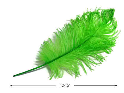 10 Pieces -  12-16" Lime Green Dyed Ostrich Tail Fancy Feathers