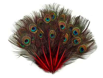 10 Pieces - Red Mini Natural Peacock Tail Body Feathers With Eyes