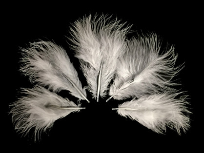 1/4 Lb - White Turkey Marabou Short Down Fluffy Loose Wholesale Feathers (Bulk)