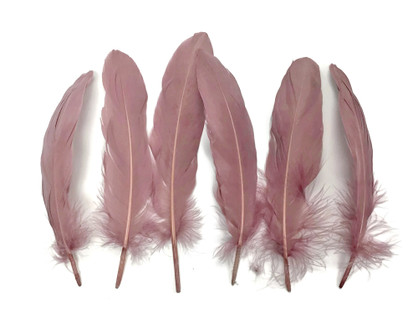1 Pack - Taupe Goose Pallet Parried Soft Wing Quill Feathers 0.3 Oz.