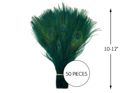 50 Pieces - Turquoise Blue Mini Natural Peacock Tail Body With Eyes  Wholesale Feathers (Bulk)