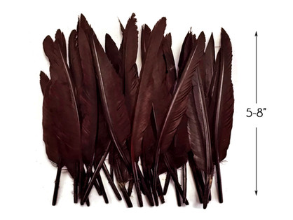 1 Pack - Brown Duck Primary Wing Pointer Feathers 0.50 Oz.