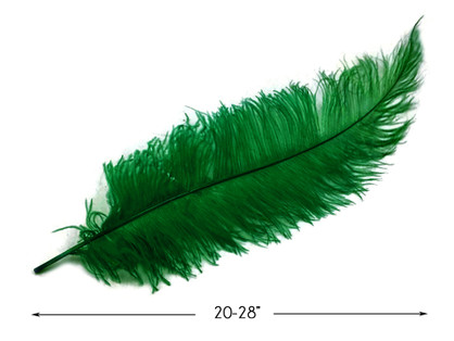 10 Pieces - 20-28" Kelly Green Ostrich Spads Large Wing Feathers