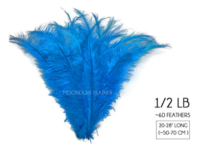 1/2 Lb - Turquoise Blue Large Ostrich Spads Wholesale Feathers 20-28" (Bulk)