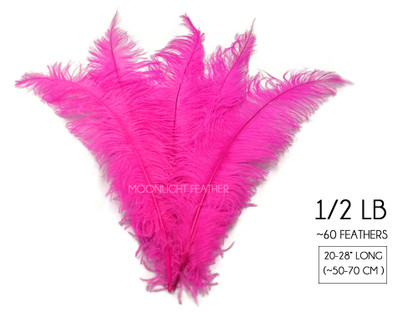 1/2 Lb - Hot Pink Large Ostrich Spads Wholesale Feathers 20-28" (Bulk)