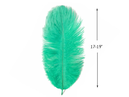 10 Pieces - 17-19" Aqua Green Large Bleached & Dyed Ostrich Drabs Body Feathers
