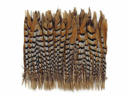 Natural colored long feathers for crafts, costumes, centerpieces