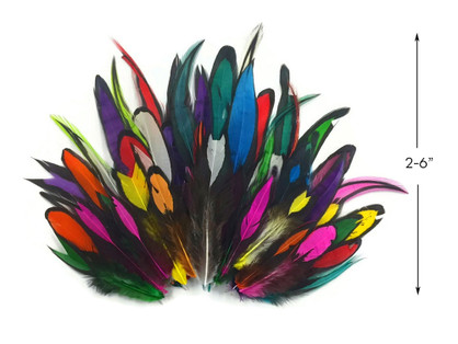 Rainbow Feathers 1 Dozen Multi Color Whiting Farms Laced 