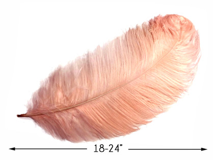 10 Pieces - 18-24" Champagne Large Prime Grade Ostrich Wing Plume Centerpiece Feathers