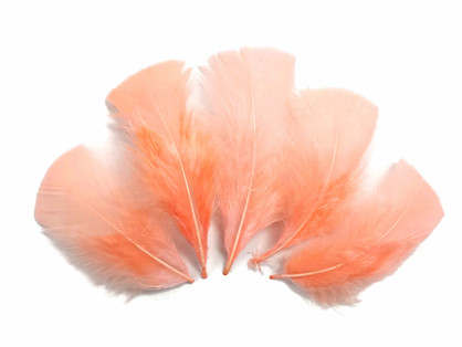 1/4 Lb - Peach Pink Turkey T-Base Plumage Wholesale Feathers (Bulk)