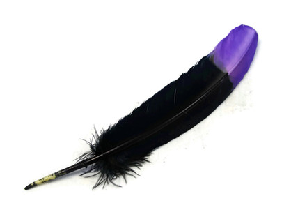 6 Pieces - Purple & Black Two Tone Turkey Round Tom Wing Secondary Quill Feathers