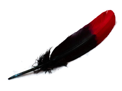 6 Pieces - Red & Black Two Tone Turkey Round Tom Wing Secondary Quill Feathers