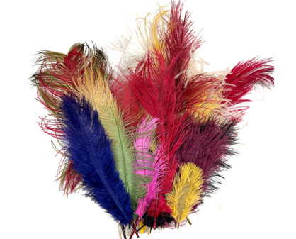 Collection 100 - Mix Random Feather Sample Pack (Bulk)