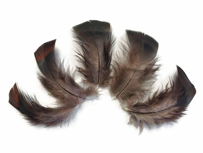 1/4 Lb - Black Bronze Wild Turkey T-Base Plumage Wholesale Feathers (Bulk)