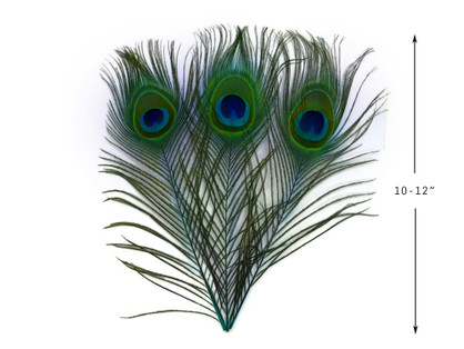 10 Pieces - 10-12" Turquoise Blue Dyed Over Natural Peacock Tail Eye Feathers