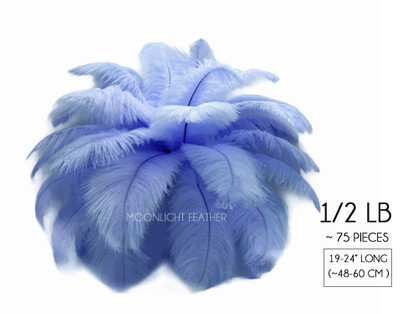 1/2 Lb. - 19-24" Light Blue Ostrich Extra Long Drab Wholesale Feathers (Bulk)