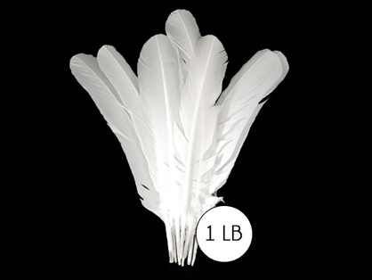 1 Lb - White Turkey Tom Rounds Secondary Wing Quill Wholesale Feathers (Bulk)