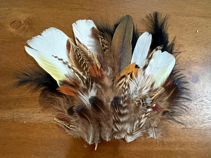 Collection 113 - Mix Random Feather Sample Pack (Bulk)