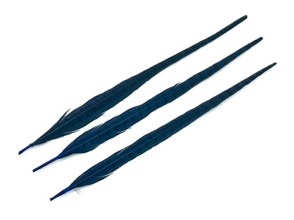 10 Pieces - 18 -22" Blue Dyed Over Natural Long Ringneck Pheasant Tail Feathers