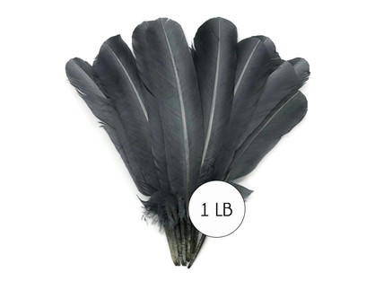 1 Lb. - Silver Gray Turkey Tom Rounds Secondary Wing Quill Wholesale Feathers (Bulk)