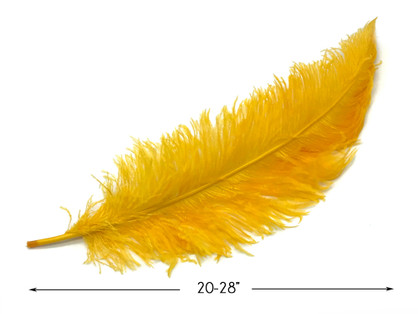 10 Pieces - 20-28" Golden Yellow Ostrich Spads Large Wing Feathers