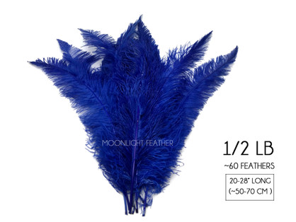 1/2 Lb - Royal Blue Large Ostrich Spads Wholesale Feathers 20-28" (Bulk)
