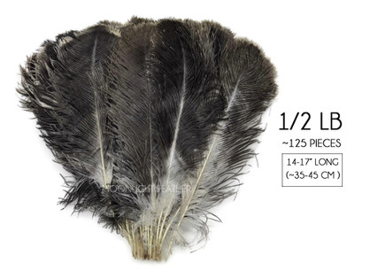 1/2 lb. - 14-17" Natural Chinchilla Brown Ostrich Large Body Drab Wholesale Feathers (Bulk)