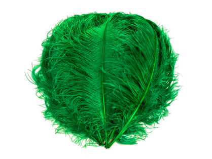 1/2 Lb. - 25-29" Kelly Green Large Ostrich Wing Plume Wholesale Feathers (Bulk)