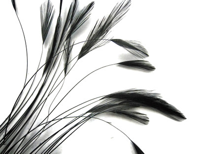 1 Dozen - Black Stripped Rooster Neck Hackle Eyelash Feather