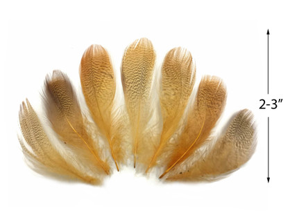 Ostrich Flexible Feathers 9-12 (Gold) for Sale Online