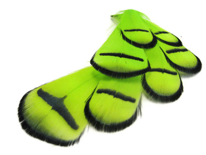 1 Dozen - Lime Green Lady Amherst Pheasant Tippet Feathers