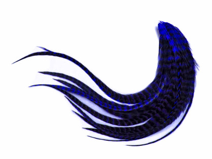 1 Dozen - Medium Royal Blue Grizzly Rooster Saddle Whiting Hair Extension Feathers