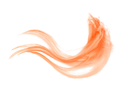 1 Dozen - Medium Solid Tangerine Rooster Saddle Whiting Hair Extension Feathers