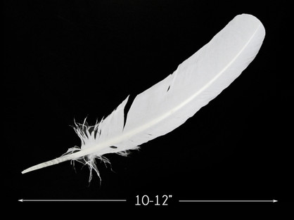 White Goose Feathers, 1 Pack WHITE Goose Satinettes Loose Feathers 0.3 Oz.  : 174 