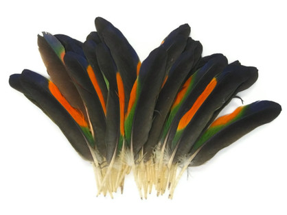 Rainbow Feathers 1 Dozen Multi Color Whiting Farms Laced 