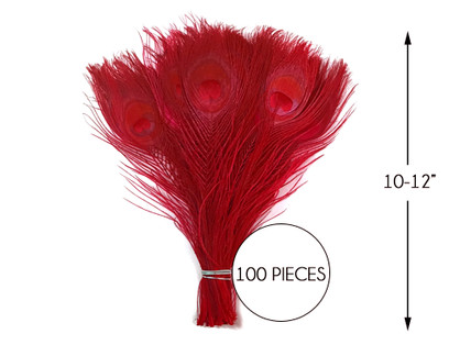 100 Pieces – Red Bleached & Dyed Peacock Tail Eye Wholesale Feathers (Bulk) 10-12” Long 