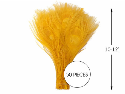 50 Pieces – Golden Yellow Bleached & Dyed Peacock Tail Eye Wholesale Feathers (Bulk) 10-12” Long 
