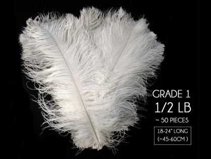 1/2 Lb. - 18-24" White Grade #1 Large Ostrich Wing Plume Wholesale Feathers (Bulk)