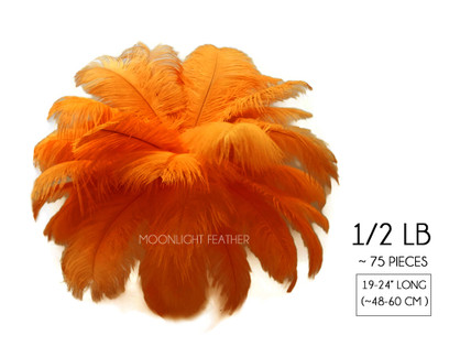 1/2 Lb - 19-24" Orange Ostrich Extra Long Drab Wholesale Feathers (Bulk)