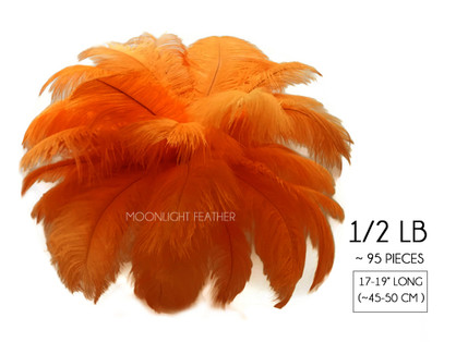 1/2 Lb - 17-19" Orange Large Ostrich Drab Feathers Wholesale (Bulk)