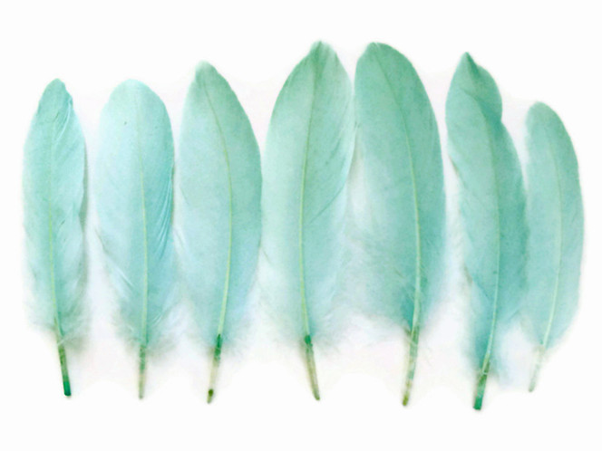 1 Pack - Aqua Green Goose Satinettes Loose Feathers 0.3 Oz.