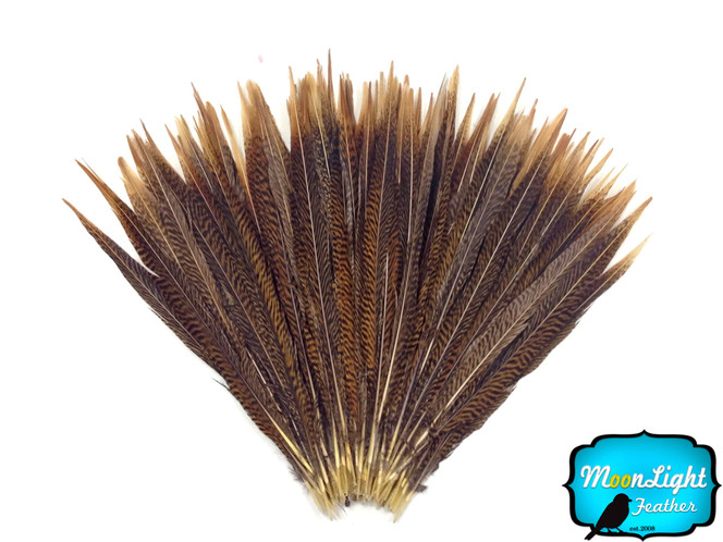 10 Pieces - 8-10" Natural Golden Pheasant Tail Feathers