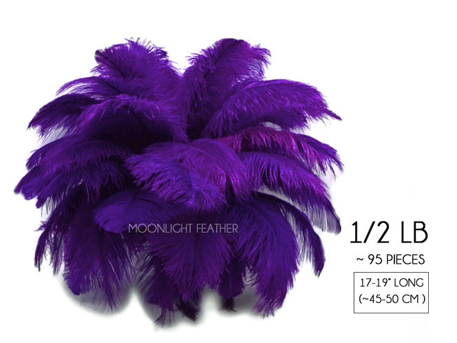 1/2 Lb - 17-19" Purple Ostrich Large Drab Wholesale Feathers (Bulk)