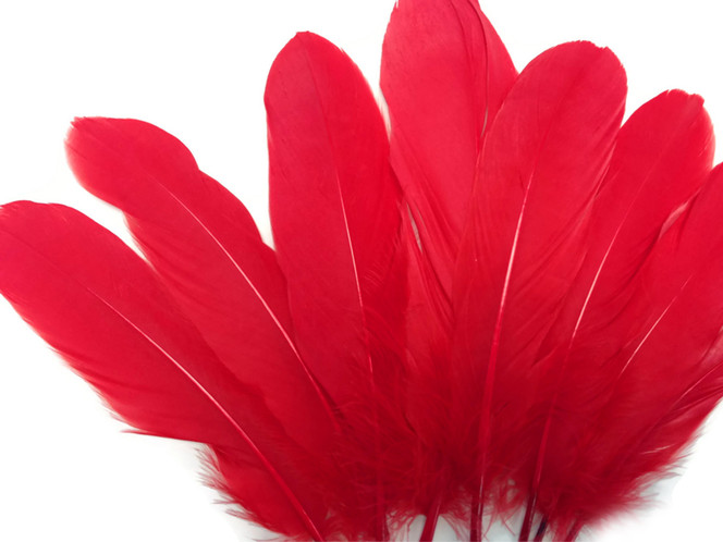 Red Goose Satinettes Wholesale Loose Feathers (Bulk)