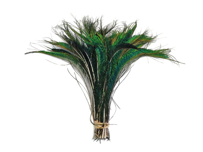 50 Pieces - 10-12" Natural Iridescent Green Peacock Swords Cut Wholesale Feathers (Bulk)