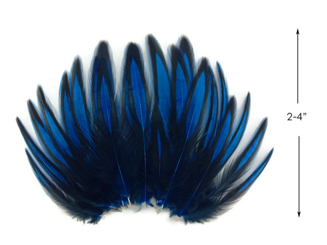 Moonlight Feather | USA SELLER Moonlight Feather | 1 Dozen - Turquoise Blue  Whiting Farms Laced Hen Saddle Feathers Fly Tying Craft Halloween Supply