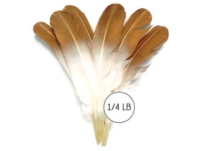 ZZ-TPN-FEATHER Natural Bleached White Goose Feathers - NATURAL BIRD TOY  PARTS