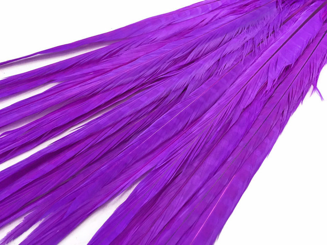 20-22" Purple Long Ringneck Pheasant Tail Wholesale Feathers (Bulk)