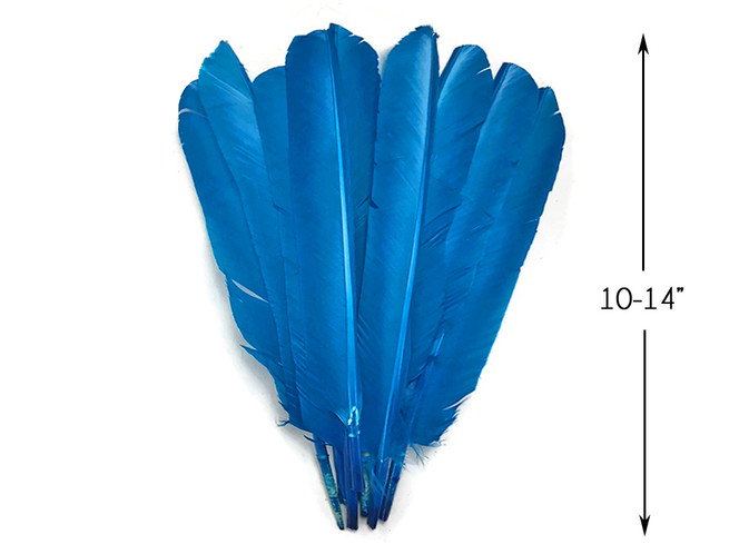 1/4 Lb - Turquoise Blue Turkey Pointers Primary Wing Quill Large Wholesale Feathers (Bulk)